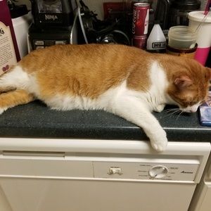 Meet your Posher, Jonathan